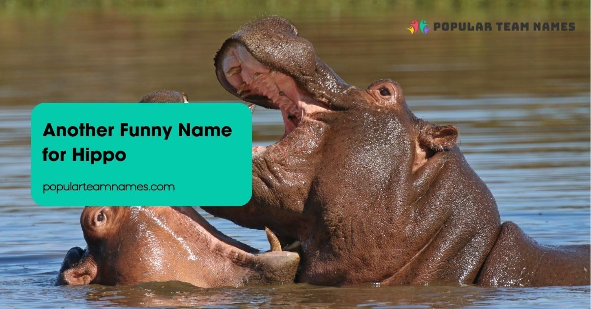Another Funny Name for Hippo