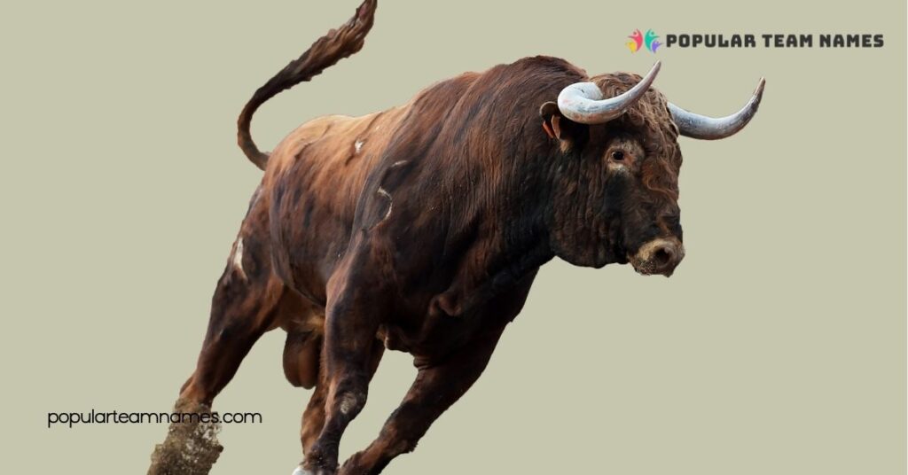 Creative Names For A Bull