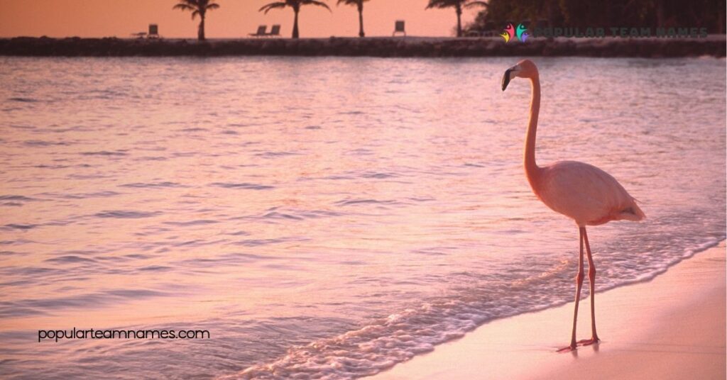 Cute Names for a Flamingo