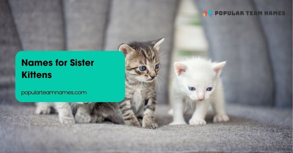 Names for Sister Kittens