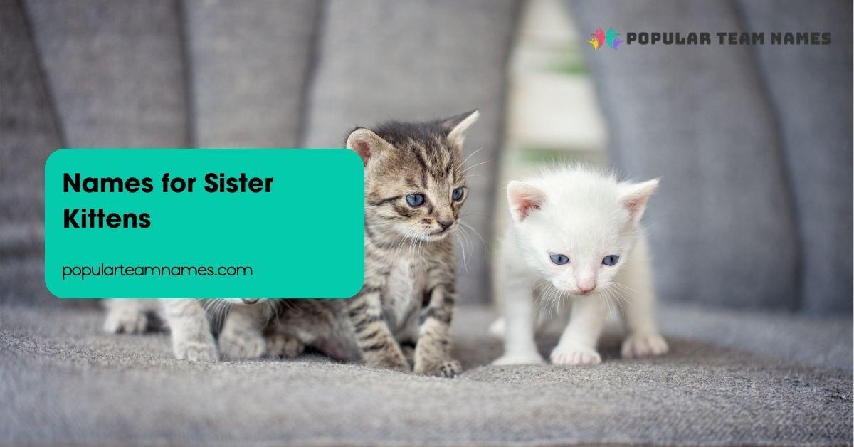 Names for Sister Kittens