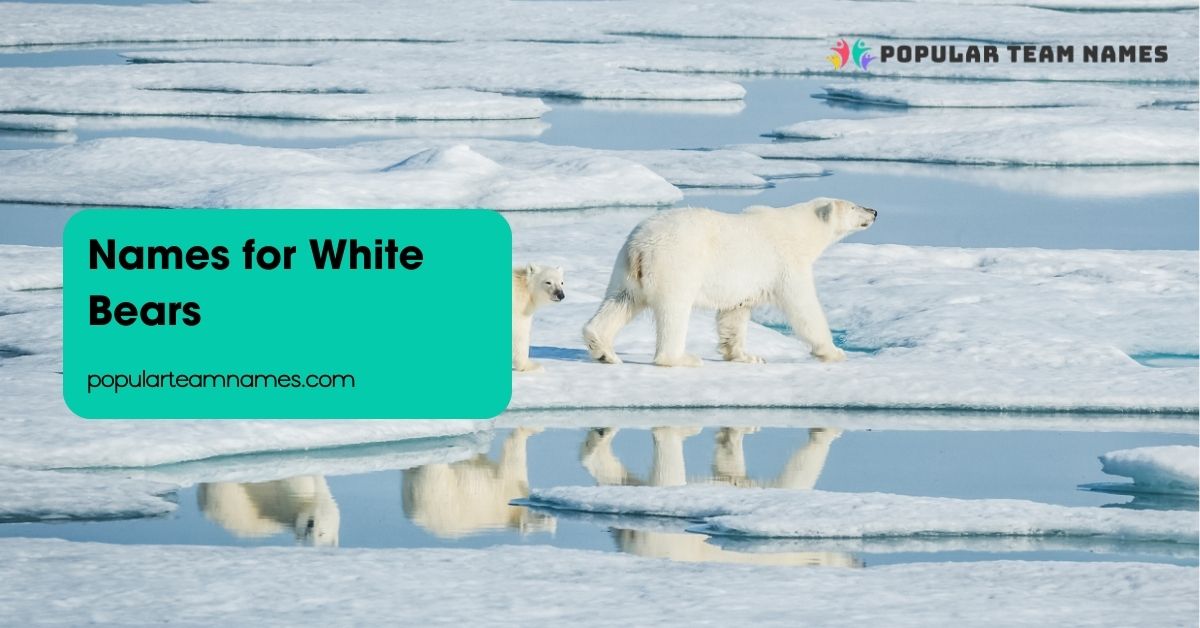Names for White Bears