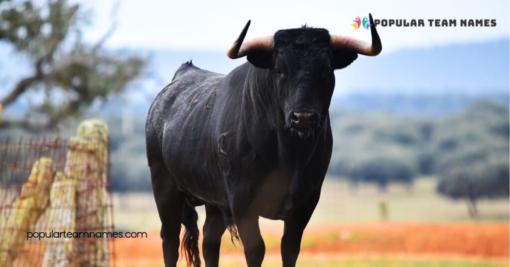 Strong Names For A Bull