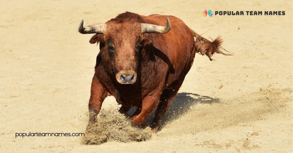 Unique Names For A Bull